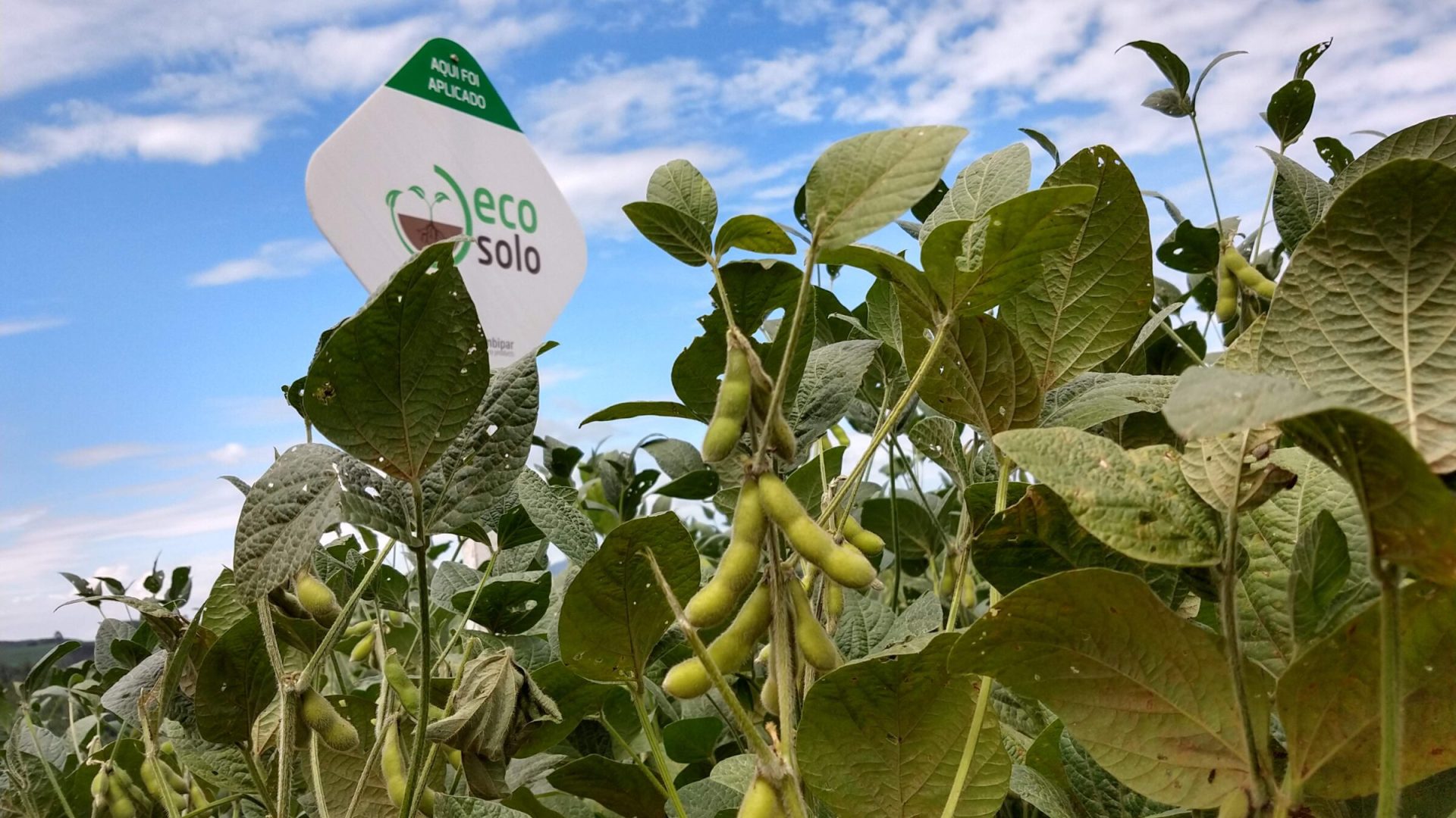 ecosolo-scaled ecosolo-scaled